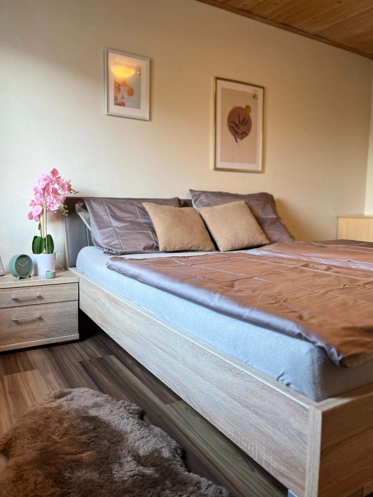 Gemuetliche Wohnung/ Cozy Apartment Niklasdorf Esterno foto